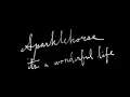 Sparklehorse - It's A Wonderful Life (Official Video)