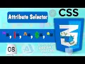 CSS Attribute Selectors CSS How to Style HTML Elements with Attributes Tutorial