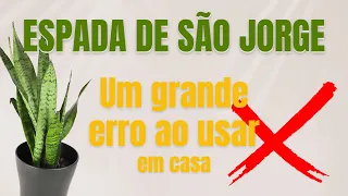 ❌ O ERRO da Espada de São Jorge a #planta da #proteção #FengShui