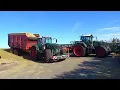 Download Lagu 2025 Altena corn silage