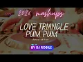 Spice - Love Triangle (Pum Pum) | Dancehall DJ Robile Edit