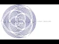 Polar Plot