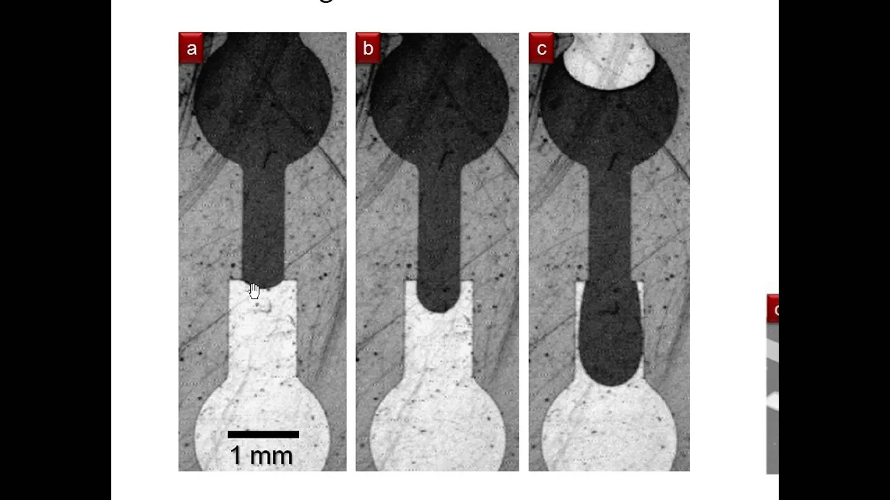BioMEMS Module 6B - Microvalves and Micropumps