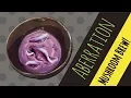 MUSHROOM BREW ARK ABERRATION Ingredient Guide