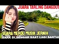 Download Lagu SUARA MERDU MUSIK JERNIH || JUARA TARLING DANGDUT || ENAK DIDENGAR SAAT LAGI SANTAI #buta88channel