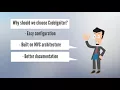 Hire CodeIgniter Developer for a Dynamic and Intuitive Website
