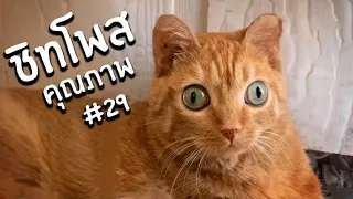 ชิทโพสเค็มๆ 29 | Reddit Review #61