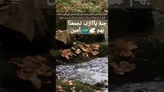جنة يااارب تجمعنا بهم     آمين دندنها