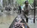 Lagu fishing - Asmat Papua