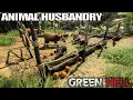 Catching Raising Animals Green Hell Building Update Gameplay Part 6