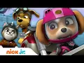 Download Lagu PAW Patrol Moto Pups tegen de Ruff-Ruff Pack! | Nick Jr.