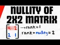 How to Find Nullity of a 2x2 Matrix Linear Algebra Exercises