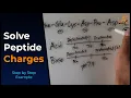 Calculating the Charge of a Polypeptide in 3 Minutes Simplified