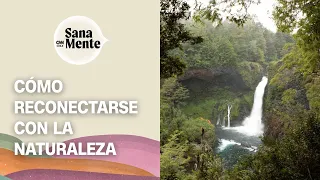 Cómo mejorar nuestra relación con la naturaleza | Sana Mente