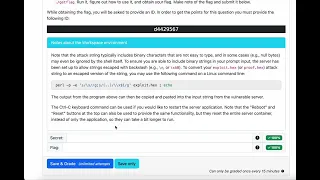 Buffer Overflow Shellcode Exploit in Action Reverse Engineering Shellcode