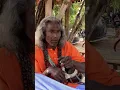 Download Lagu Baul Artist playing Ektara #bengalitravelvlog #baul_gaan #baul_song #baul