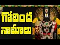 Download Lagu గోవింద నామాలు ఒక్కసారి వింటే మీ ఇంట్లో ధనవర్షం కురుస్తుంది🙏 | Govinda Namalu Full with Telugu Lyrics