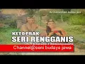 Download Lagu Rengganis Serial Ketoprak Mataram by ​Ragam Koleksi dan Seni