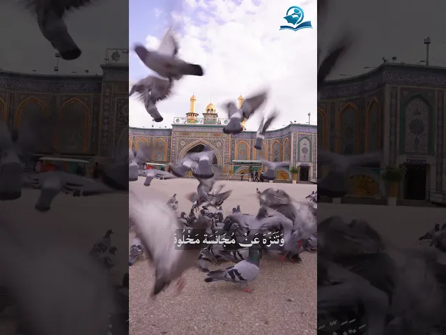 ⁣من دعاء الصباح للإمام علي (عليه السلام)