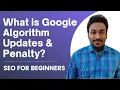 Google Algorithm Updates For SEO Search Penalty SEO Fundamentals for Business Chapter 7