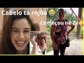 Download Lagu Beatriz resenha resenhistas/Lucinha começa a engambelação/Andreia de capacho é rojão né Ze