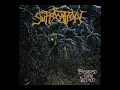Suffocation - Pierced From Within