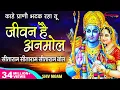Download Lagu सीताराम सीताराम सीताराम बोल - काहे प्राणी भटक रहा है - जीवन है अनमोल - JIVAN HAI ANMOL | SITARAM BOL