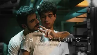 luca u0026 antonio never ending gay love story mascarpone