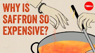 Red gold: The world's most expensive spice - Carolyn Beans