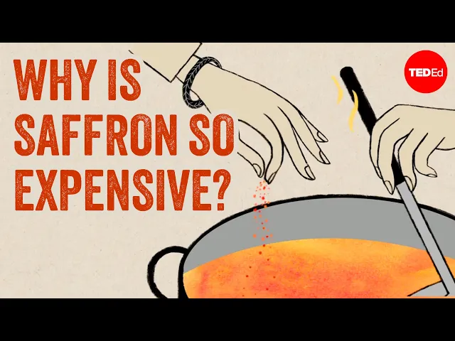 Video: Red gold: The world's most expensive spice - Carolyn Beans