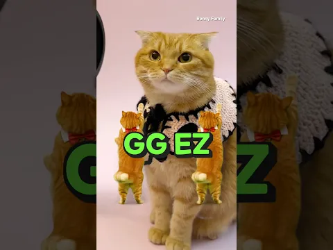 베니의 GG EZ 챌린지 (M.Sasuke) cover by Benny the Cat #shorts