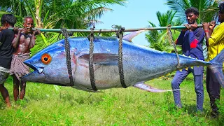 Monster Tuna Fish Cutting and Cooking | Giant Squid | Rabbit Mandi | Village Special Recipe