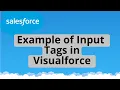 Tutorial 9 Example of Input Tags in Visualforce