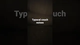 Typical Couch Noises 