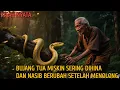 Download Lagu KISAH BUJANG TUA MISKIN SERING DIHINA DAN NASIB BERUBAH SETELAH MENOLONG ULAR BESAR