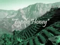 Tupelo Honey - Van Morrison
