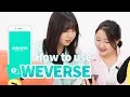 Kpop Lab Ep 5 How to use Weverse
