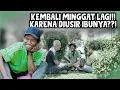 Download Lagu IBUNYA GALAK ❗️😱❓️GARA-GARA DIJEWER , BAGUS KABUR LAGI ‼️
