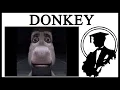 Why Is Donkey Staring