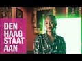 Download Lagu Radiocommercial Den Haag Staat aan 50 jaar PAARD