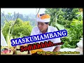 Download Lagu MASKUMAMBANG👍‼️ olih :  Gusti Ngurah(MUTIARA SANDAT KEMBAR ) #maskumambang #geguritan #geguritanbali