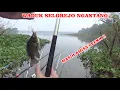 Download Lagu MANCING NGANTANG HARI INI MASIH AMISS LEEK !! Mancing Nila Waduk Selorejo