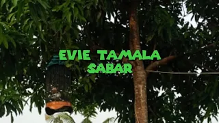 Download Evie tamala SABAR MP3