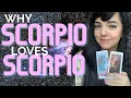 SCORPIO AND SCORPIO LOVE COMPATIBILITY SYNASTRY