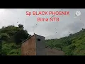 Download Lagu #BlackPhoenix #SuaraWalet  Bukti respon Sp BLACK PHOENIX di Bima NTB
