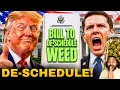 BILL to DE-SCHEDULE WEED JUST DROPPED Congress Moves to KEEP THC Drinks LEGAL