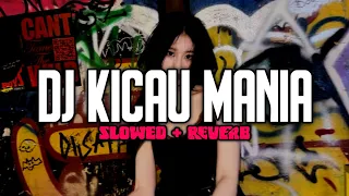 dj gaspol dangak dangak slowed reverb 