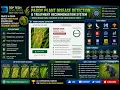 Paddy Plant Leaf Diseases Detection Using Deep Learning And Flask Framework