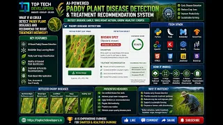 Paddy Plant Leaf Diseases Detection Using Deep Learning And Flask Framework