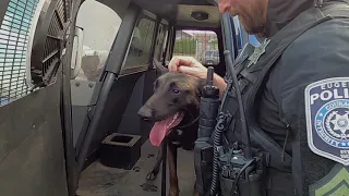 Meet the brand-new K9 teams from Lane County Sheriff s Office and Eugene Police Department